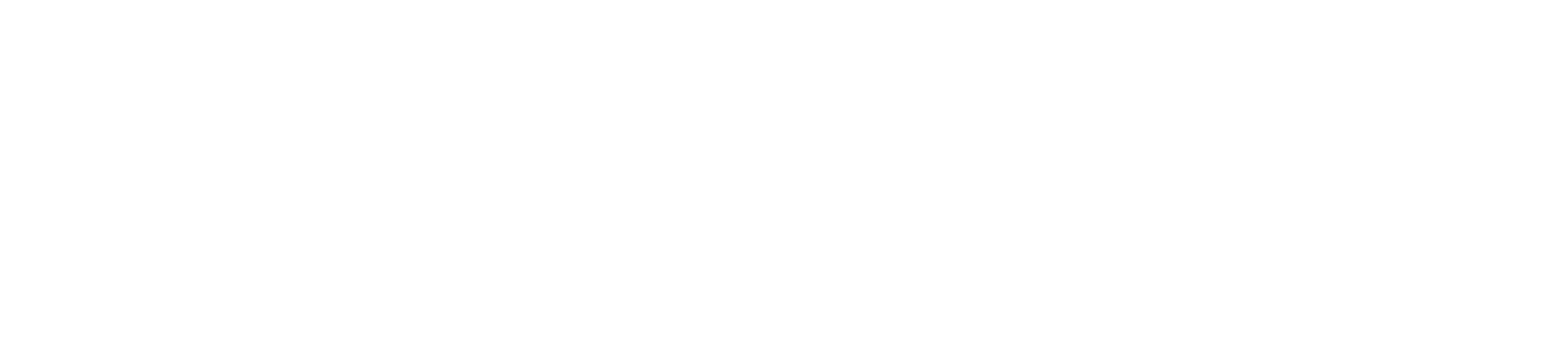 Esteban Ruiz · Retina